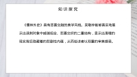 第17张幻灯片