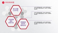 第8张幻灯片