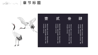 第8张幻灯片