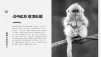 第4张幻灯片