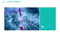第7张幻灯片