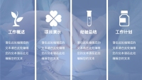 第2张幻灯片