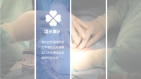 第9张幻灯片