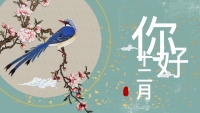 第1张幻灯片
