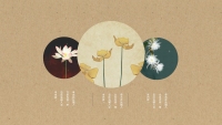 第6张幻灯片