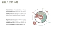 第13张幻灯片