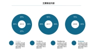 第9张幻灯片