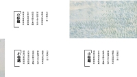 第9张幻灯片