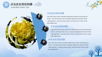 第16张幻灯片