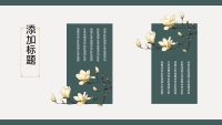 第4张幻灯片