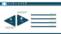 第13张幻灯片