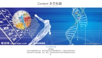 第11张幻灯片