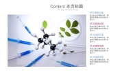 第17张幻灯片