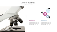 第21张幻灯片