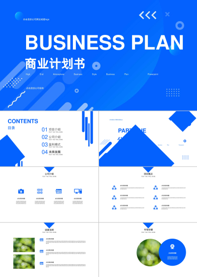 BUSINESS PLAN