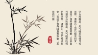 第7张幻灯片