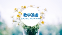 第13张幻灯片