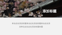 第12张幻灯片
