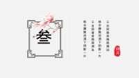 第13张幻灯片