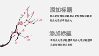 第14张幻灯片