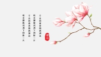 第17张幻灯片