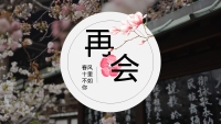 第23张幻灯片