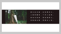 第12张幻灯片