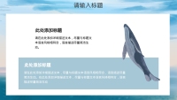 第12张幻灯片