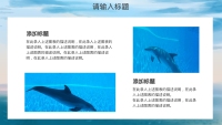 第15张幻灯片