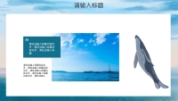 第19张幻灯片