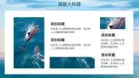 第4张幻灯片
