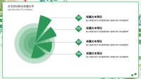 第12张幻灯片