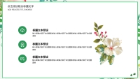 第17张幻灯片