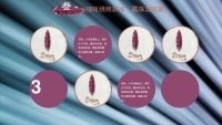 第16张幻灯片