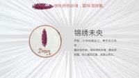 第6张幻灯片