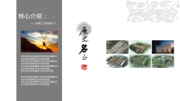 第8张幻灯片