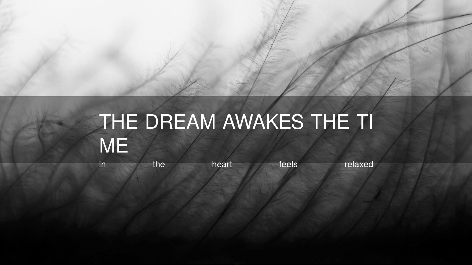 THE DREAM AWAKES THE TIME