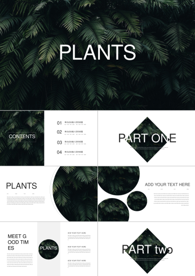 PLANTS