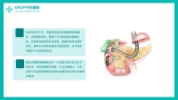 第24张幻灯片