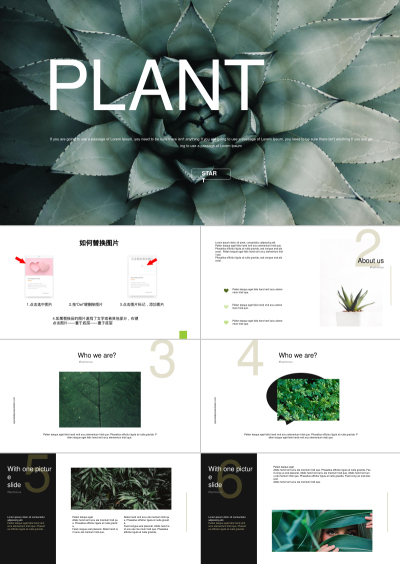 PLANT