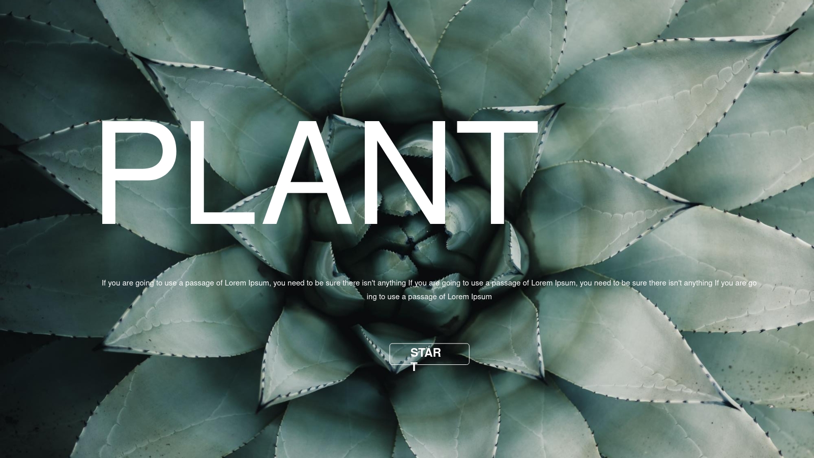 PLANT