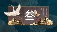 第13张幻灯片