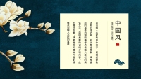 第14张幻灯片