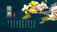 第20张幻灯片