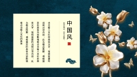 第4张幻灯片