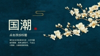第9张幻灯片