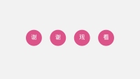 第29张幻灯片