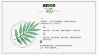 第10张幻灯片