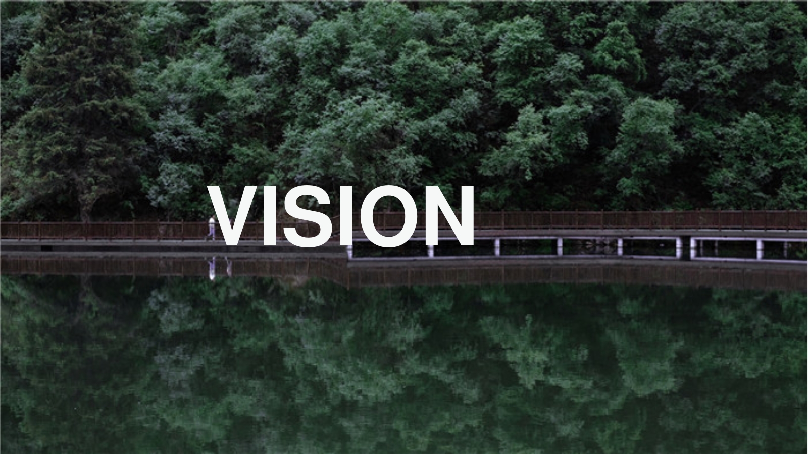 VISION