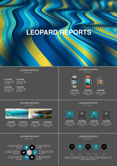 LEOPARD REPORTS